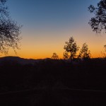IMG_0273
