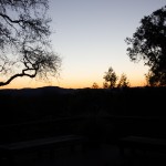 IMG_0287