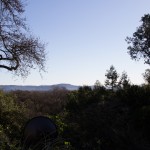 IMG_0291